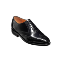 Albert - Black Hi-Shine, 14.5