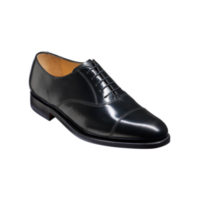 Arnold - Black Hi-Shine, E / 13