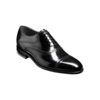 Wilton - Black Hi-Shine, 6